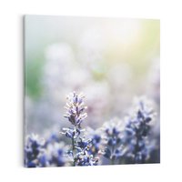 Obraz na płótnie 30x30 - Delikatna Uroda Natury - wrzosy, fiolet