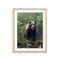 Plakat w ramie 30x40 - Spotkanie z Niedźwiedziem w Lesie - niedźwiedź, las - rama drewno