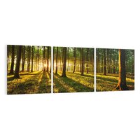 Obraz na płótnie 90x30 - Mistyfikujący urok leśnej głuszy - las, drzewa