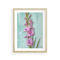 Plakat w ramie 50x70 - Piękno w delikatności - kwiaty, różowe - rama drewno