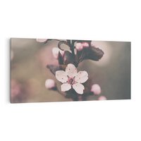 Obraz na płótnie 120x60 - Przemijający Urok - kwitnąca, wiśnia