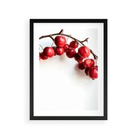 Plakat w ramie 40x50 - Jesienne Owoce - jarzębina, czerwone owoce - rama czarna