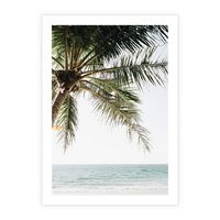 Plakat bez ramy 50x70 - Wakacyjne Marzenie - palma nad morzem,