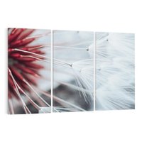 Obraz na płótnie 120x80 - Makro świat dmuchawca - dmuchawiec, makro