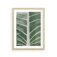 Plakat w ramie 40x50 - Zielone Wielkości: Zbliżenie Liścia - zbliżenie duz liść, jasna zieleń - rama drewno