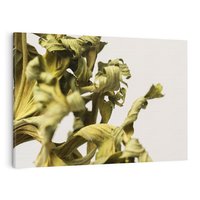 Obraz na płótnie 120x80 - Odejście pory deszczowej - suche, trawy