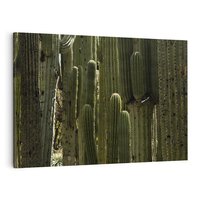 Obraz na płótnie 120x80 - Wyjątkowy Klimat Boho - kaktusy, pustynia