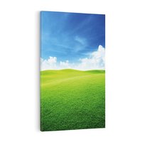 Obraz na płótnie 80x120 - Łąka pod Niebem - łąka, niebo