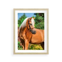 Plakat w ramie 40x50 - Elegancki wierzchowiec - koń, portret - rama drewno