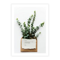 Plakat bez ramy 21x30 - Eukaliptusowa harmonia - eukaliptus, liście