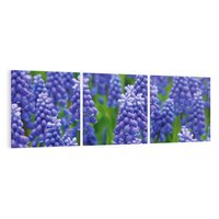 Obraz na płótnie 90x30 - Urok Lawendy - lawenda, kwiat