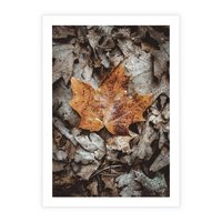 Plakat bez ramy 40x50 - Jesienne Czarowanie - suchy liść, żółty