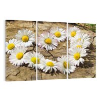 Obraz na płótnie 120x80 - Stokrotki w naturalnym otoczeniu - stokrotki, natura