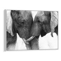 Obraz w ramie 120x80 - Spotkanie Mądrości - fotografia czarno biała, dwa słonie - rama biała
