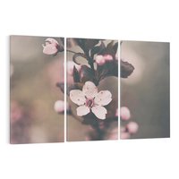 Obraz na płótnie 120x80 - Przemijający Urok - kwitnąca, wiśnia