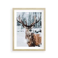 Plakat w ramie 40x50 - Jeleń na Zdjęciu pod Śniegiem - jeleń, zima - rama drewno