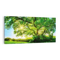 Obraz na płótnie 120x60 - Natura w pełnym rozkwicie - drzewo, niebo