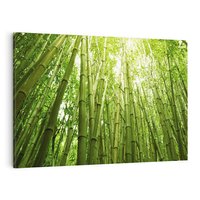 Obraz na płótnie 100x70 - Siła Natury - drzewa, las