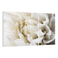 Obraz na płótnie 120x80 - Białe Kwiaty Delikatności - białe, kwiaty