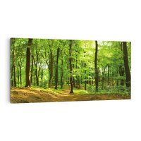 Obraz na płótnie 140x70 - Mistyka leśnych drzew - las, drzewa