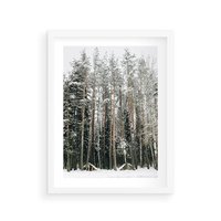 Plakat w ramie 50x70 - Sypiący Śnieg - las w zimie, drzewa pod śniegiem - rama biała