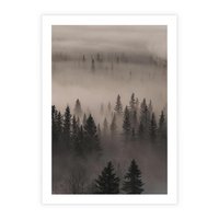 Plakat bez ramy 40x50 - Mglista Opowieść Lasu - las, mgła