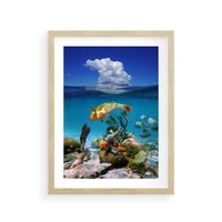 Plakat w ramie 50x70 - Podwodna rafa koralowa: kolorowy oceanowy świat - rafa, koralowa - rama drewno