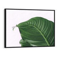 Obraz w ramie 100x70 - Zielone liście monstery - liście, monstera - rama czarna
