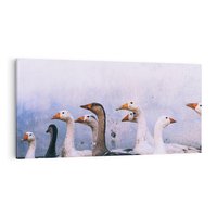 Obraz na płótnie 120x60 - Spotkanie Wśród Piór - uchwycony moment, fotografia