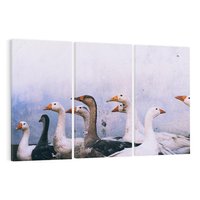 Obraz na płótnie 120x80 - Spotkanie Wśród Piór - uchwycony moment, fotografia