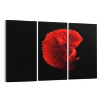 Obraz na płótnie 120x80 - Ryba wśród fal - ryba, morze