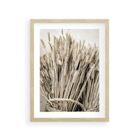 Plakat w ramie 50x70 - Letni Plon - zboże, kłosy zboża - rama drewno