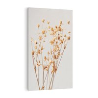 Obraz na płótnie 50x70 - Delikatne gipsówki - gipsówka, suche