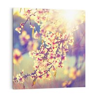 Obraz na płótnie 70x70 - Kwiatowa Wiosna - kwiaty, wiosna