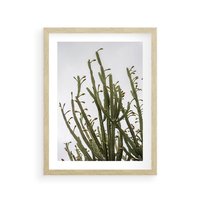 Plakat w ramie 50x70 - Ekskluzywna Roślinność - kaktusy, liście - rama drewno