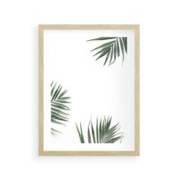 Plakat w ramie 40x50 - Liście Palmy na Czystym Tle - liście palmy, białe tło - rama drewno