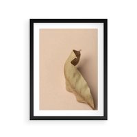 Plakat w ramie 50x70 - Boho suszone liście - suszony, liść - rama czarna