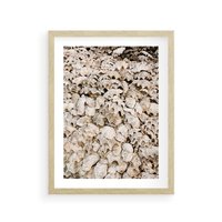 Plakat w ramie 40x50 - Symfonia Natury - kompozycja z białych muszli - rama drewno