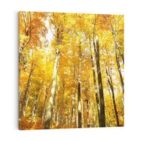 Obraz na płótnie 40x40 - Jesienny Las - Kolorowa Paleta Natury - jesień, drzewa