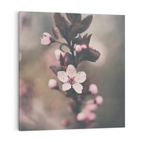 Obraz na płótnie 40x40 - Przemijający Urok - kwitnąca, wiśnia