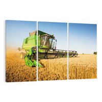 Obraz na płótnie 120x80 - Złociste żniwa na kombajnie - kombajn, zboże