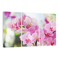 Obraz na płótnie 120x80 - Elegancja orchidei - orchidea, kwiaty