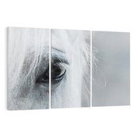 Obraz na płótnie 120x80 - Oko Mocy - czarno białe zdjęcie, zbliżenie makro na oko konia