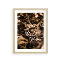 Plakat w ramie 40x50 - Jesienny Jeleń w Lesie - jeleń, w lesie - rama drewno