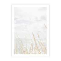 Plakat bez ramy 30x40 - Jasna Delikatność: Fotografia Suchych Traw - suche trawy, jasna fotografia