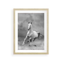 Plakat w ramie 30x40 - Elegancja w Czarno-Białym - koń, biało - rama drewno