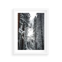 Plakat w ramie 30x40 - Cicha Magia Zimowego Lasu - zimowy las, ośnieżone drzewa - rama biała