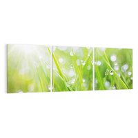 Obraz na płótnie 120x40 - Delikatna trawa pokryta rosą - trawa, rosa