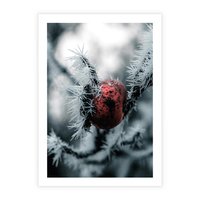 Plakat bez ramy 21x30 - Chwila Zimowego Uroku - zima, ośnieżona gałązka