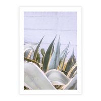 Plakat bez ramy 21x30 - Sukulentowe liście - liście, sukulenty